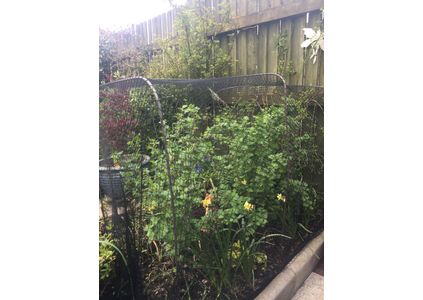 Customer image of Mild Steel Round Bar