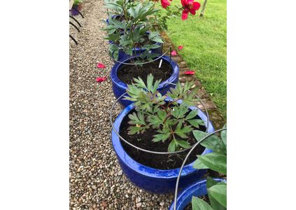 Customer image of Mild Steel Round Bar