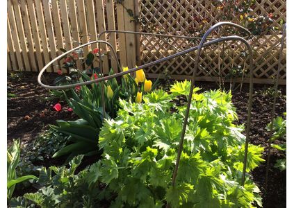 Customer image of Mild Steel Round Bar