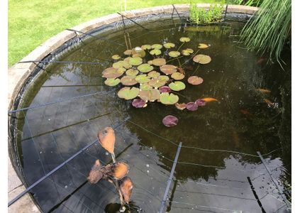 Customer image of Mild Steel Flat Bar