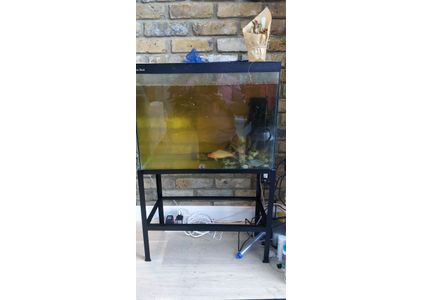 Customer image of Mild Steel Angle