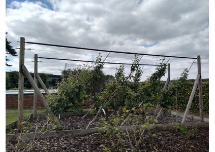 Customer image of Mild Steel Tube