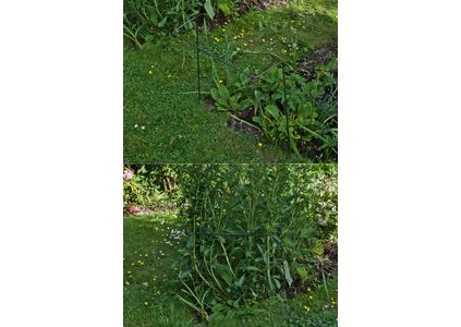 Customer image of Mild Steel Round Bar